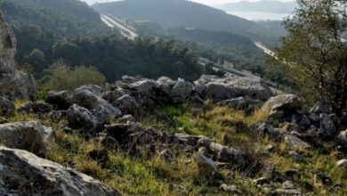 Το Ιερό της Περσεφόνης στο "Βουνό Σκαραμαγκά" - Φυσικά, καμία ανασκαφή 139