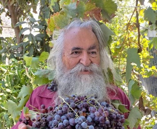 Ευλογία! - Το κλήμα έχει τη δική του ιστορία 3