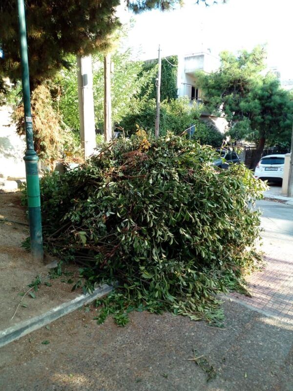 "Αντίκρισα την απόλυτη καταστροφή" 1