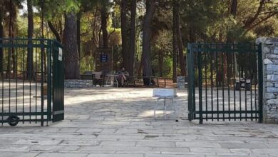 Διομήδειος Κήπος: Μπήκε εισιτήριο - Πότε ισχύει, ποιους αφορά 8