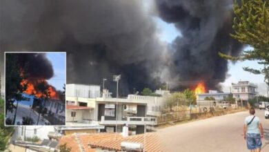Πυρκαγιά στον Ασπρόπυργο 24