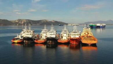 Ρεκόρ παροπλισμένων πλοίων στον Κόλπο της Ελευσίνας 25