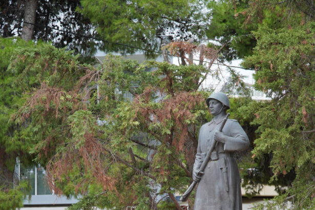 Πράσινο φως για παρελάσεις την 28η Οκτωβρίου 43