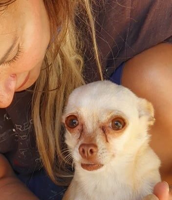 Tέλος μαρτυρίου για 17 έγκλειστα ζώα - Απάνθρωπη εκμετάλλευση για αναπαραγωγή 19