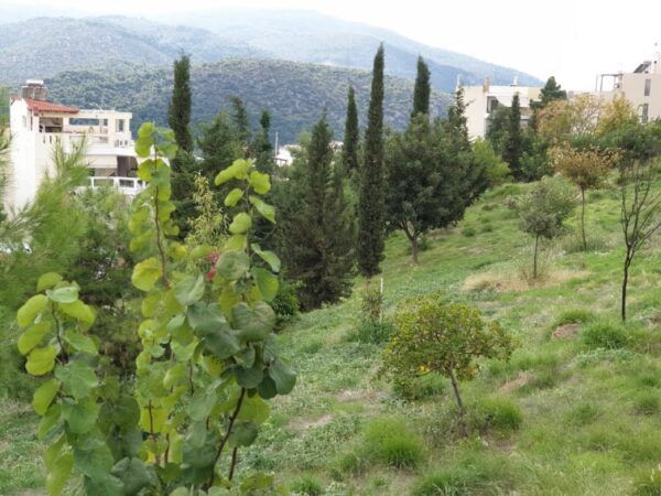 Χαϊδάρι, φθινοπωρινή ραψωδία: Δεν είναι πια όνειρο, είναι πραγματικότητα! - Photos 13