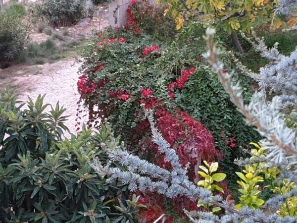 Χαϊδάρι, φθινοπωρινή ραψωδία: Δεν είναι πια όνειρο, είναι πραγματικότητα! - Photos 9
