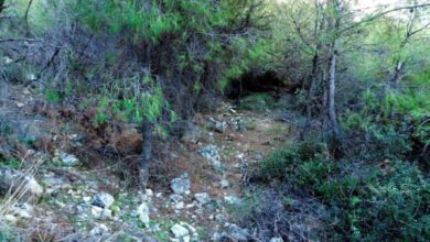 Η αποκάλυψη ενός μεσαιωνικού μονοπατιού στο Ποικίλο 5