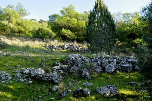Η αποκάλυψη ενός μεσαιωνικού μονοπατιού στο Ποικίλο 6 Η αποκάλυψη ενός μεσαιωνικού μονοπατιού στο Ποικίλο 5