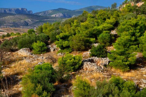 Η αποκάλυψη ενός μεσαιωνικού μονοπατιού στο Ποικίλο 8 Η αποκάλυψη ενός μεσαιωνικού μονοπατιού στο Ποικίλο 7