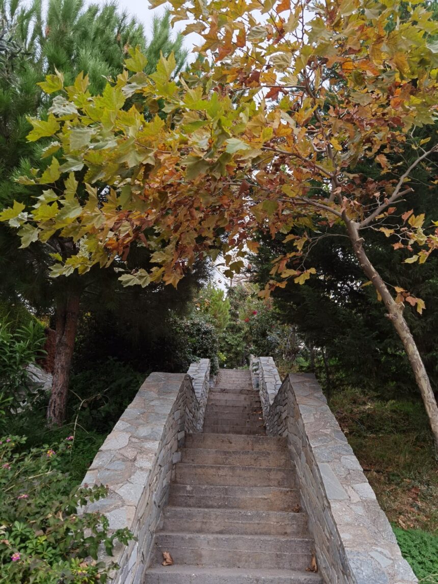 Ο πράσινος παράδεισος που έφτιαξε αθόρυβα ο κ. Χρήστος στο Χαϊδάρι 1