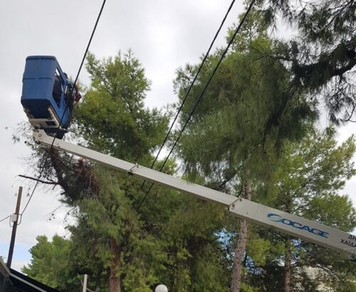 Παρεμβάσεις για την προστασία των πεύκων της Καραϊσκάκη 19