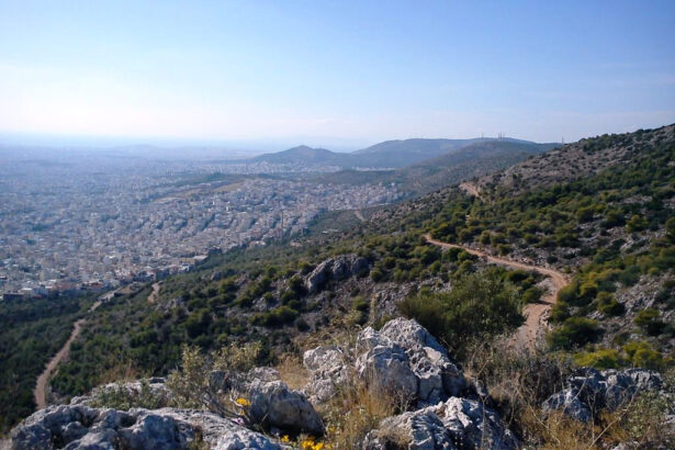 "Κηρύξτε αδόμητα Αιγάλεω και Ποικίλο, που εποφθαλμιούν καταπατητές" 21