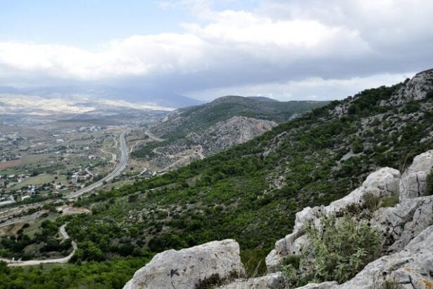 τρέξιμο - ποδήλατο