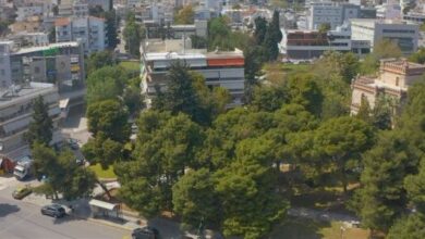 Πολίτης για πρόστιμα σε ιδιοκτήτες σκύλων: Δεν ασκείται έτσι η εξουσία, κ. Δήμαρχε 5