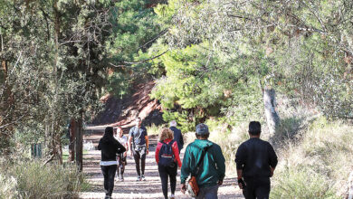 Παγκόσμια Ημέρας Περιβάλλοντος με καθαρισμό του Άλσους Δαφνίου 62