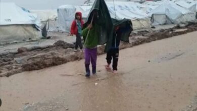 "Γιατί φροντίζετε τα προσφυγάκια και αδιαφορείτε για τα ελληνόπουλα;" 1