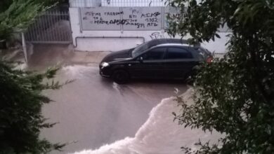 Χαϊδάρι 2021 11