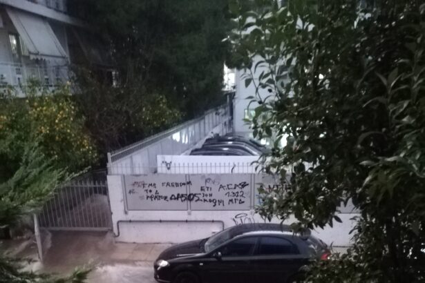 Χαϊδάρι 2021 27