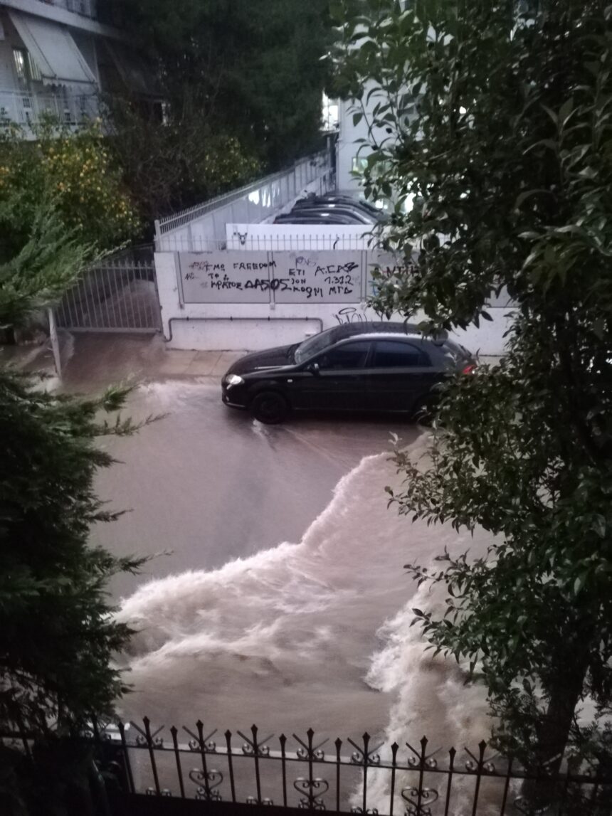Χαϊδάρι 2021 1