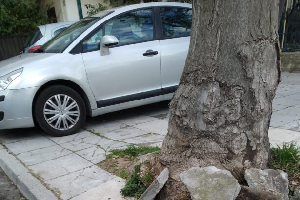 "Τραυματίστηκα ενώ πήγαινα την εγγονή μου στο σχολείο" 15