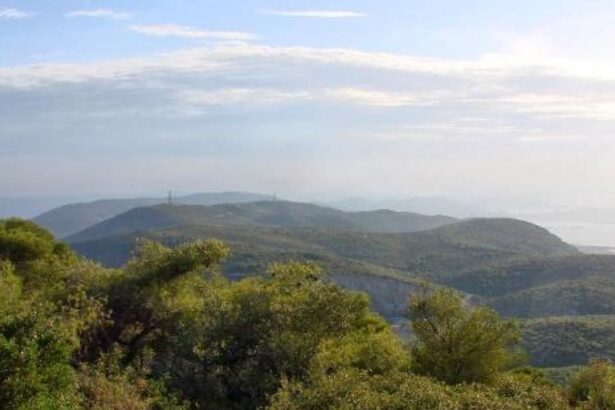 έργο στο Ποικίλο