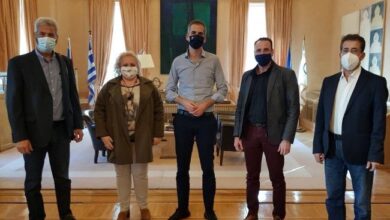Θα στειρώνονται πλέον και γάτες στο κέντρο περίθαλψης ζώων 9