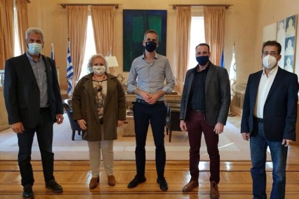 Θα στειρώνονται πλέον και γάτες στο κέντρο περίθαλψης ζώων 3