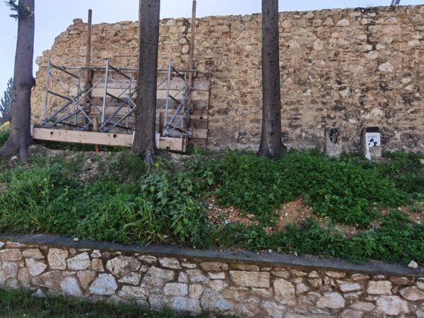 Κρίμα, αλλά αναγκαίο: Κόβονται ιστορικά κυπαρίσσια στο Δαφνί 4 Κρίμα, αλλά αναγκαίο: Κόβονται ιστορικά κυπαρίσσια στο Δαφνί 3