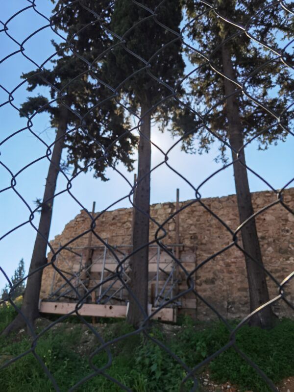 Κρίμα, αλλά αναγκαίο: Κόβονται ιστορικά κυπαρίσσια στο Δαφνί 6 Κρίμα, αλλά αναγκαίο: Κόβονται ιστορικά κυπαρίσσια στο Δαφνί 5