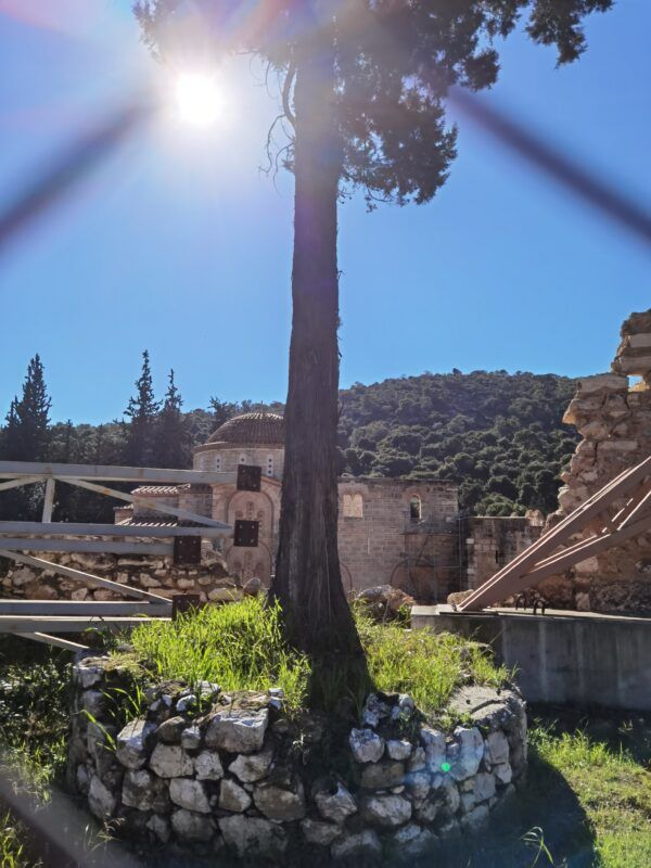 Κρίμα, αλλά αναγκαίο: Κόβονται ιστορικά κυπαρίσσια στο Δαφνί 2 Κρίμα, αλλά αναγκαίο: Κόβονται ιστορικά κυπαρίσσια στο Δαφνί 1