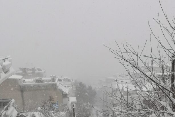 Ξεκινάει προσπάθεια εκχιονισμού στο Δάσος 7