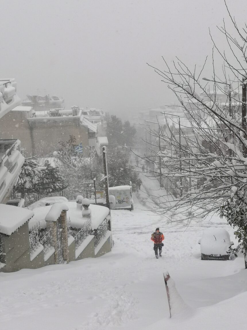 Ξεκινάει προσπάθεια εκχιονισμού στο Δάσος 2 Ξεκινάει προσπάθεια εκχιονισμού στο Δάσος 1
