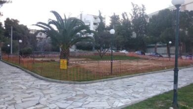 Πάρκο σκύλων στο Παλατάκι: τι ισχύει τελικά; 43