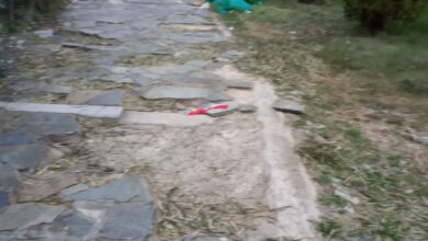 Μια βόλτα στο πρώην "Θεαθήναι"... 182