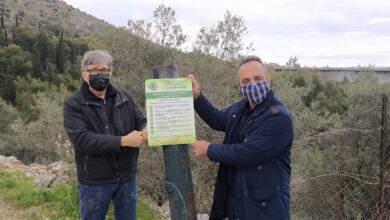 Για ένα καθαρό, νοικοκυρεμένο περιβάλλον στο δάσος του Δαφνιού 17