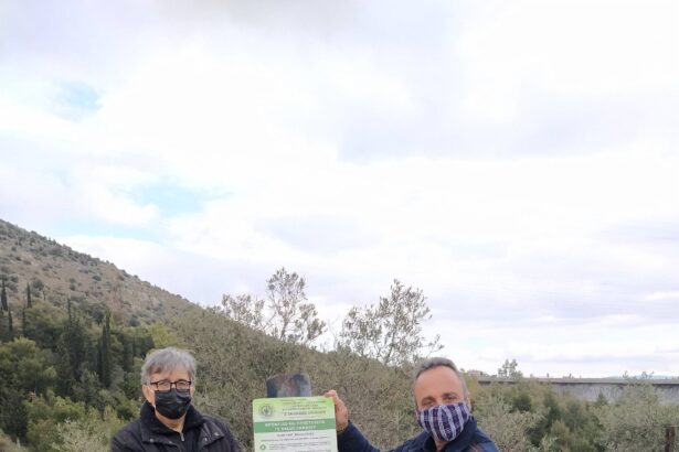 Για ένα καθαρό, νοικοκυρεμένο περιβάλλον στο δάσος του Δαφνιού 11