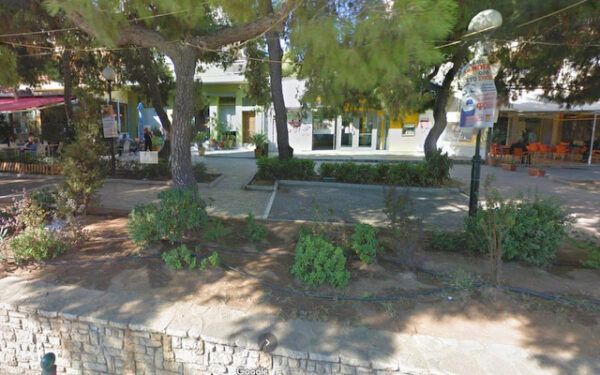 Υπάρχει ακόμη απορία γιατί πεθαίνει ο πευκώνας της Καραϊσκάκη; 1