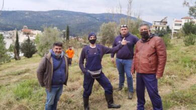 Φροντίδα για το μεγάλο, καταπράσινο πάρκο της οδού Μάνης 37