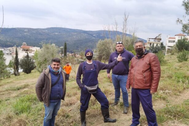 Φροντίδα για το μεγάλο, καταπράσινο πάρκο της οδού Μάνης 41