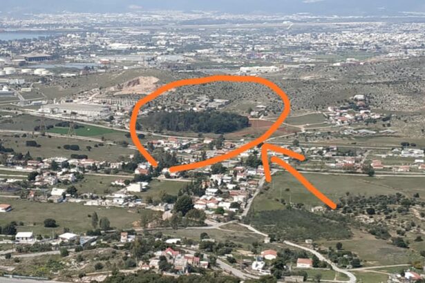 "Πήραν το νόμο στα χέρια τους": Η καταπάτηση που πήγε τη ζωή ένα βήμα παρακάτω 25