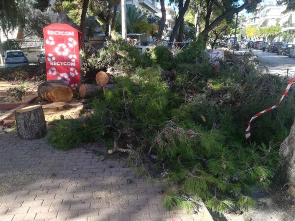 Πλατεία Ηρώων: Άγριο πριόνι, αλόγιστη δενδροκτονία! 9