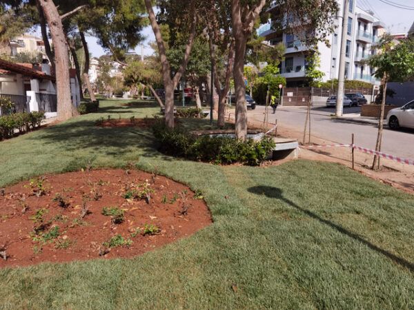 Η ανανεωμένη Πλατεία Ηρώων, τα κομμένα δέντρα και το έτοιμο γκαζόν 14 Η ανανεωμένη Πλατεία Ηρώων, τα κομμένα δέντρα και το έτοιμο γκαζόν 13