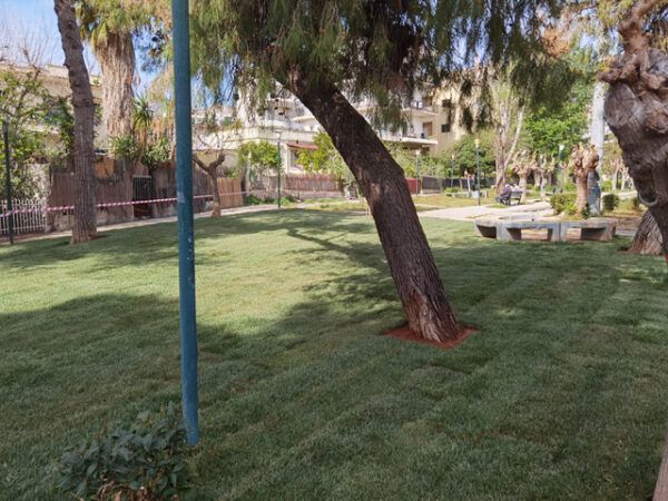 Η ανανεωμένη Πλατεία Ηρώων, τα κομμένα δέντρα και το έτοιμο γκαζόν 4 Η ανανεωμένη Πλατεία Ηρώων, τα κομμένα δέντρα και το έτοιμο γκαζόν 3