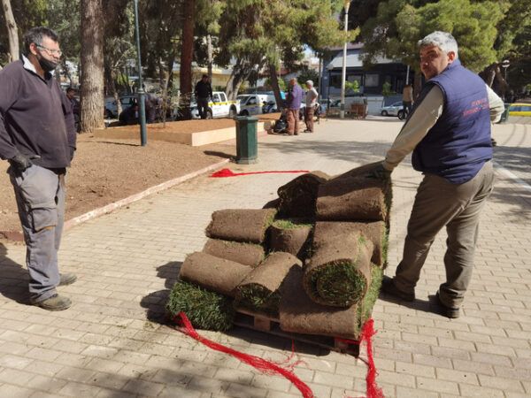 Η ανανεωμένη Πλατεία Ηρώων, τα κομμένα δέντρα και το έτοιμο γκαζόν 16 Η ανανεωμένη Πλατεία Ηρώων, τα κομμένα δέντρα και το έτοιμο γκαζόν 15
