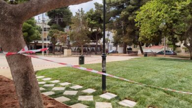 Η ανανεωμένη Πλατεία Ηρώων, τα κομμένα δέντρα και το έτοιμο γκαζόν 11
