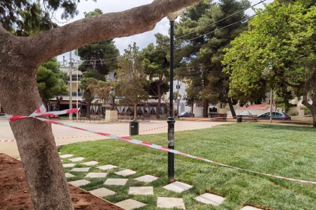 Η ανανεωμένη Πλατεία Ηρώων, τα κομμένα δέντρα και το έτοιμο γκαζόν 21