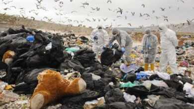 Σοκαριστικά ευρήματα και μελέτες - Αναμένοντας την περιβαλλοντική αδειοδότηση του νέου ΧΥΤΑ 7