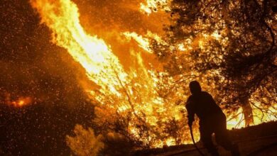 Τέσσερις μύθοι για τις πυρκαγιές στα πευκοδάση 23