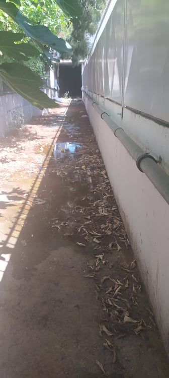 "Το χειμώνα πλημμύρες, το καλοκαίρι μυρωδιές, κουνούπια, τρωκτικά" 7