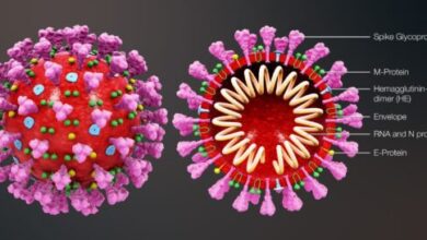 Εμβόλια AstraZeneca - Johnson & Johnson: Δόθηκε εξήγηση για το μυστήριο με τις θρομβώσεις 14
